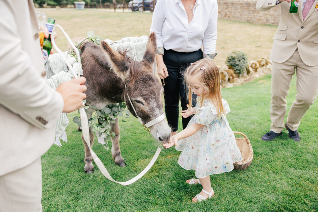 A young girl in a floral dress feeds a small donkey decorated with greenery, while three adults in formal attire stand nearby on a grassy lawn.